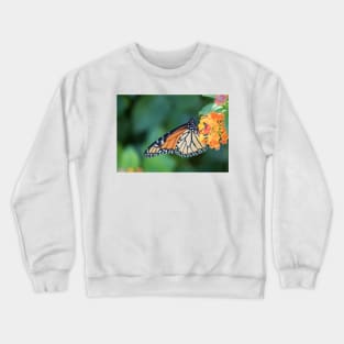 Emerald Monarch Crewneck Sweatshirt